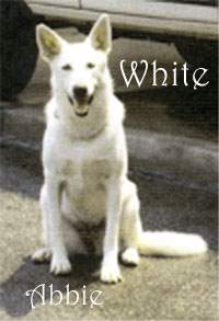 White: Abbie