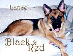 Black and Red: Lance